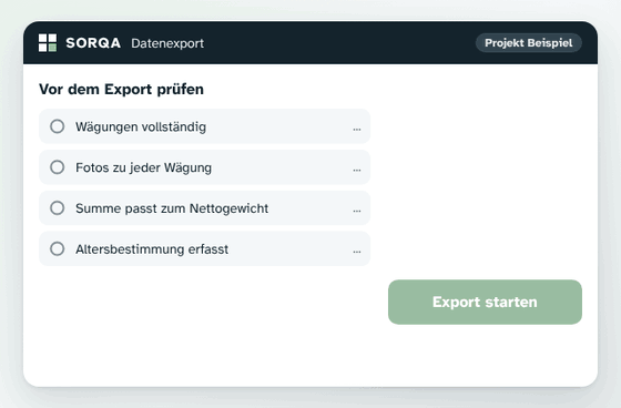 Animierte Beispielansicht: Die App prüft vor dem Export alle Angaben, eine Lücke wird ergänzt, dann wird die Excel-Datei erstellt.