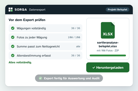 Animierte Beispielansicht: Die App prüft vor dem Export alle Angaben, eine Lücke wird ergänzt, dann wird die Excel-Datei erstellt.